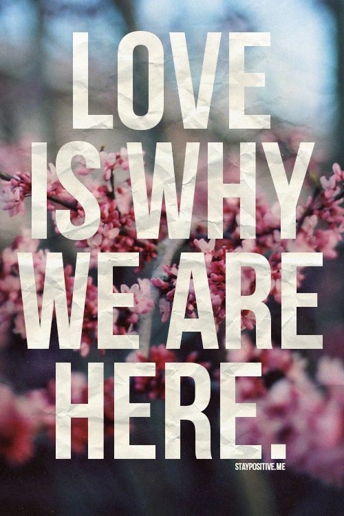 love is why we are here love is why we are here