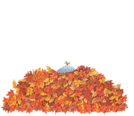Happy Fall Ya'll