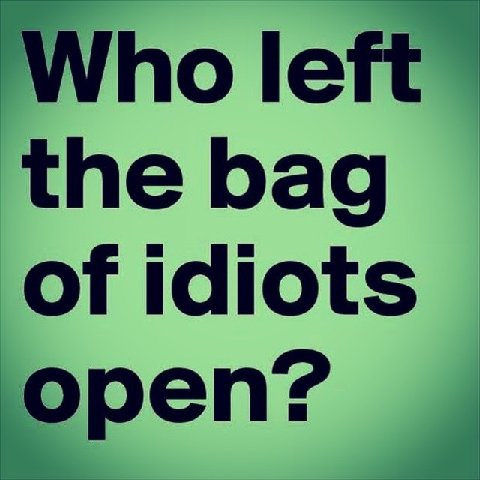 the bag of idiots