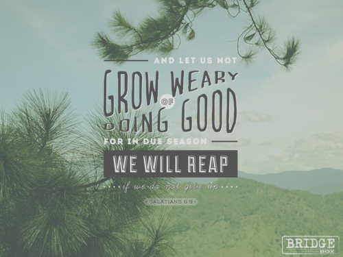 Let us not grow weary Let us not grow weary