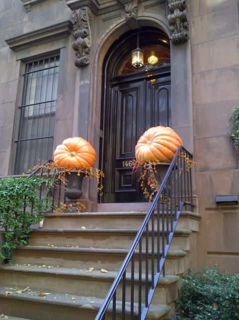 Giant Pumpkins