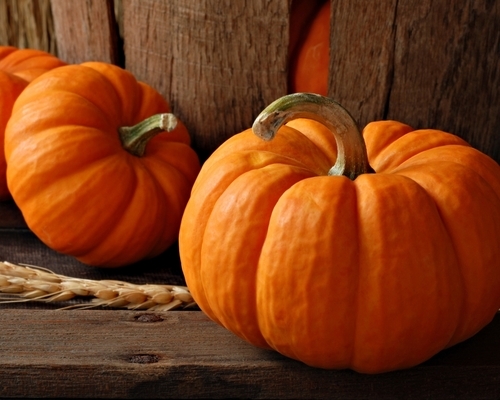 Pumpkins Pumpkins