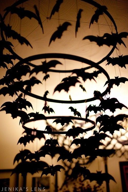 Dangling Bats