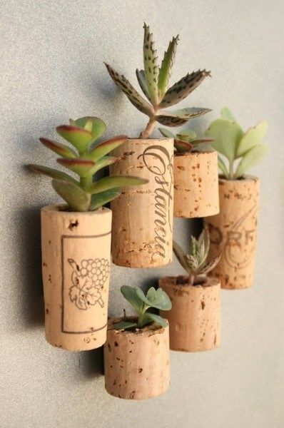 Tiny succulent cork planters
