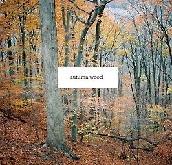 Autumn wood Autumn wood