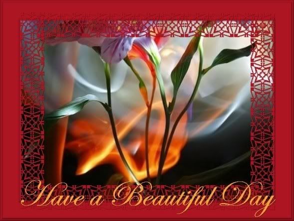 Have a beautiful day Have a beautiful day