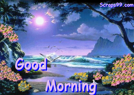Good Morning Good Morning
