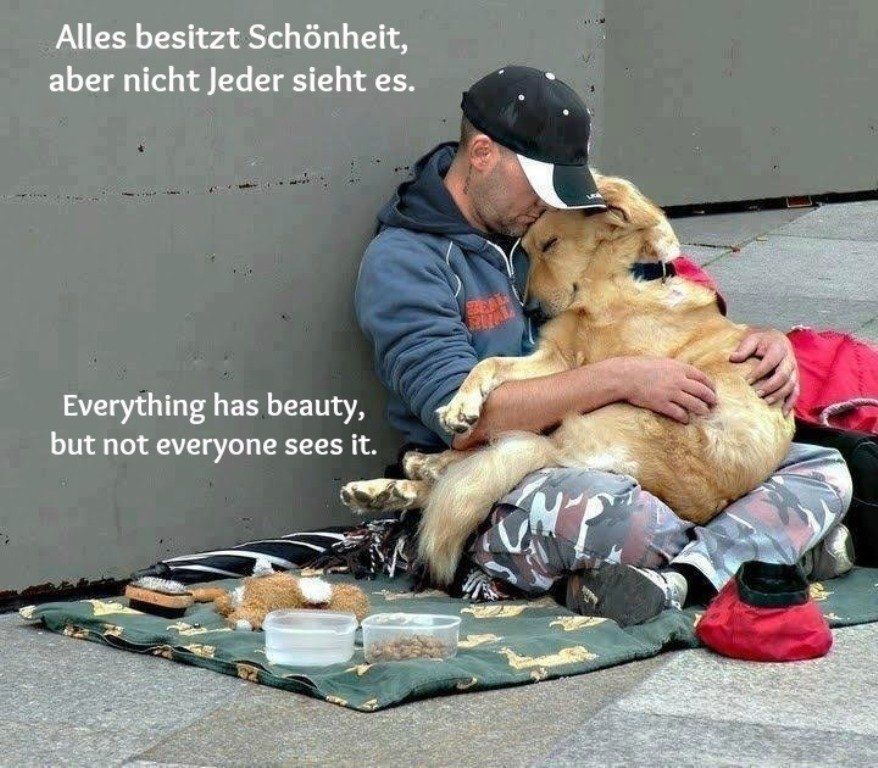 Hund