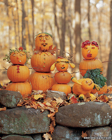 Pumpkin Family Pumpkin Family