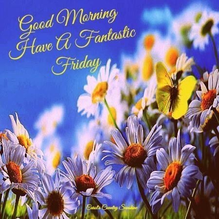 Good Morning Friday Good Morning Friday