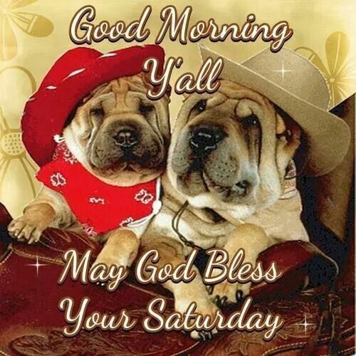 Good Morning Saturday