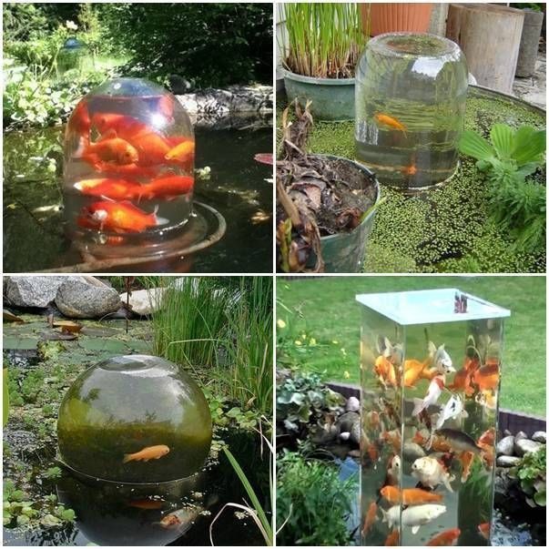 DIY Fish Observation Tower Idea
