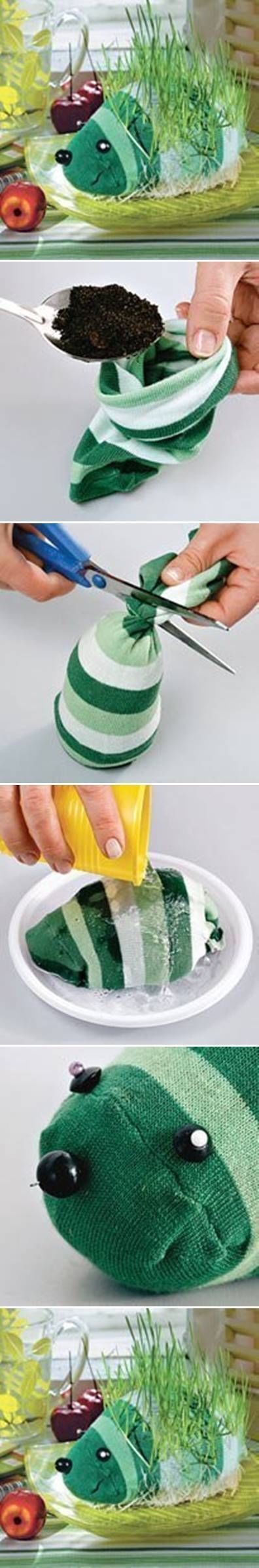 DIY Sock Growing Grass Hedgehog DIY Sock Growing Grass Hedgehog