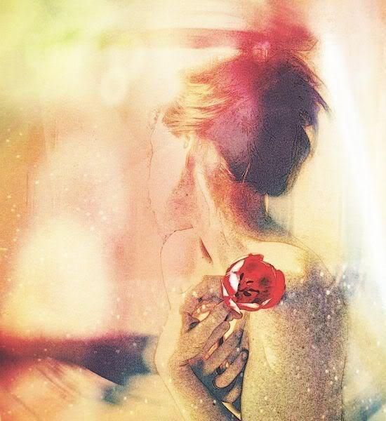 The Rose The Rose