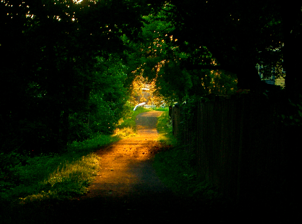 Sunlight, showing the way.... Sunlight, showing the way....