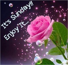 Enjoy your Sunday