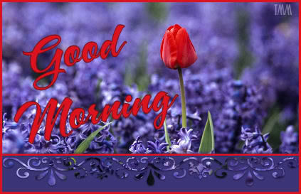 Good Morning
