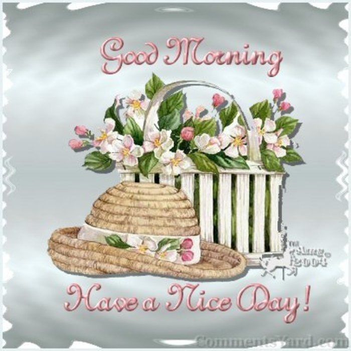 Good Morning Have a Nice Day Good Morning Have a Nice Day