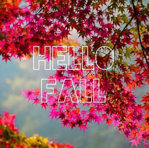 Hello Fall