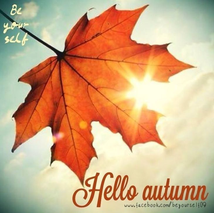 Hello autumn
