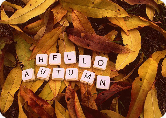 Hello autumn