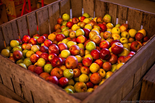 Apples Apples