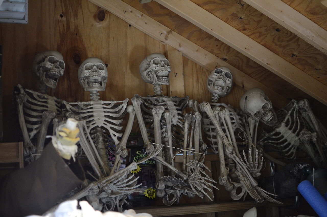 Skeletons in the attic Skeletons in the attic