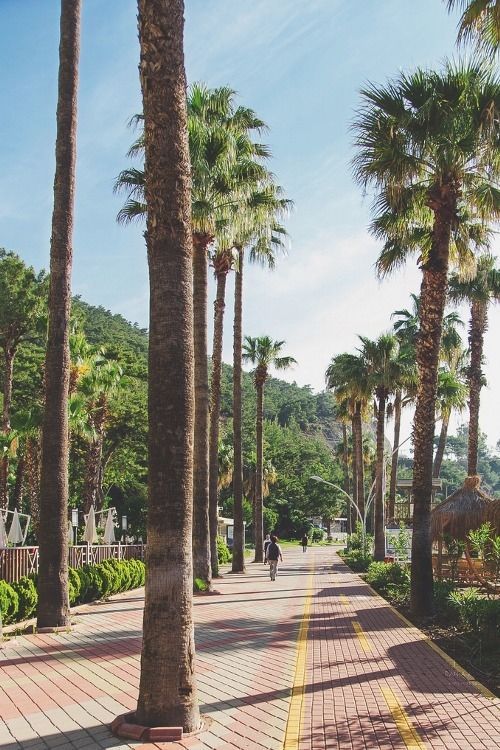 Beautiful Walk Way Beautiful Walk Way