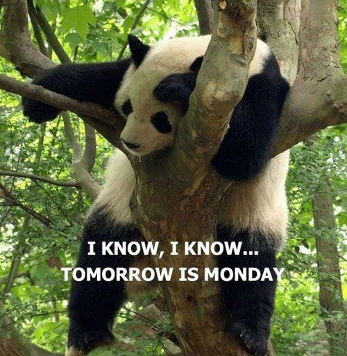 tomorrows monday