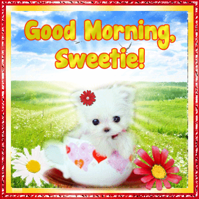 good morning good morning