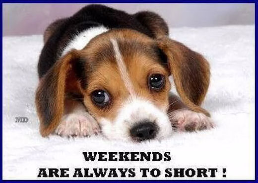 weekends are always to short weekends are always to short