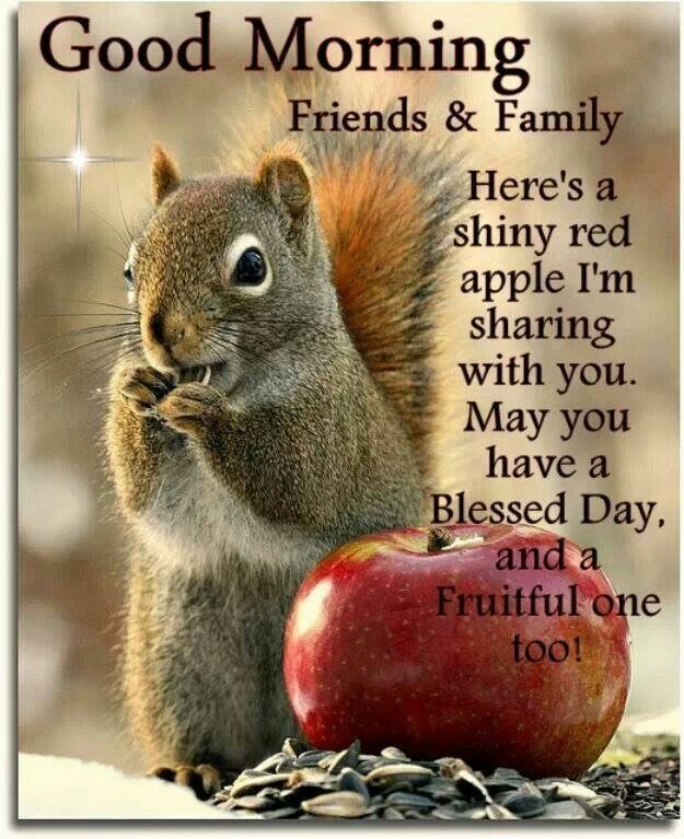 Good Morning Good Morning