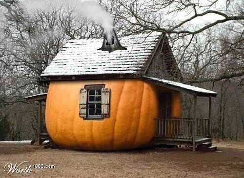 Pumpkin House Pumpkin House