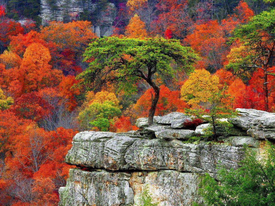 Autumn Shades..Just Beautiful Autumn Shades..Just Beautiful