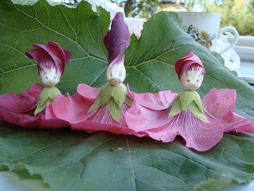 I believe in Fairies