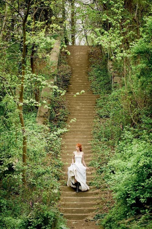 Nature's Fairytale Nature's Fairytale
