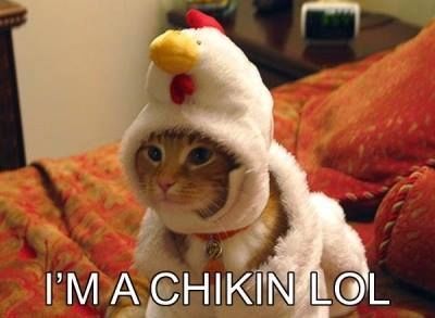 I'm a chikin LOL I'm a chikin LOL