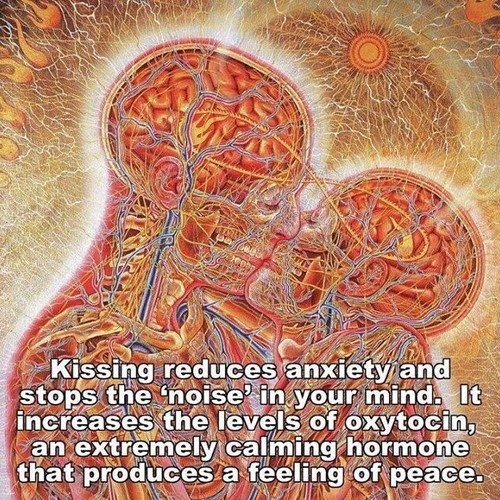 Kissing reduces anxiety