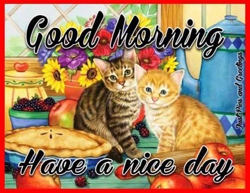 Good Morning Good Morning