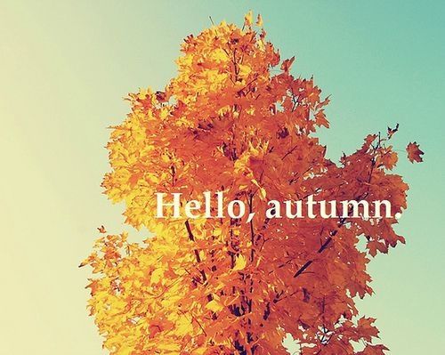 Hello Autumn Hello Autumn