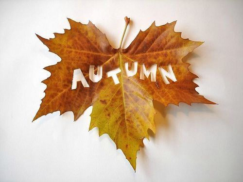 Autumn