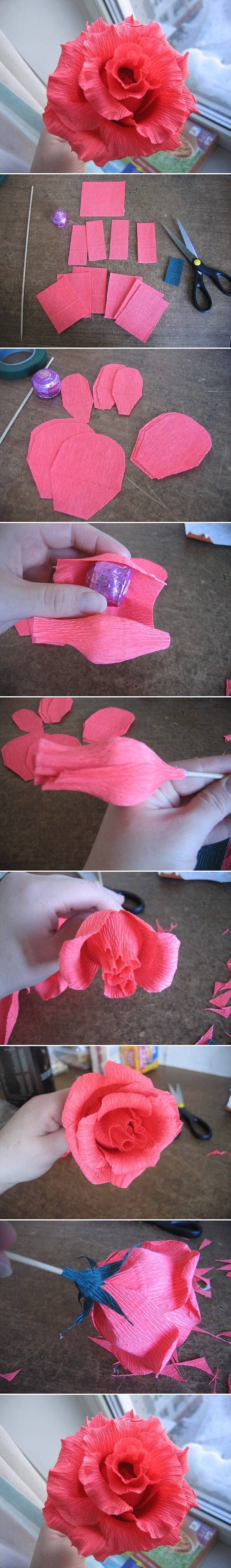 DIY Roses DIY Roses