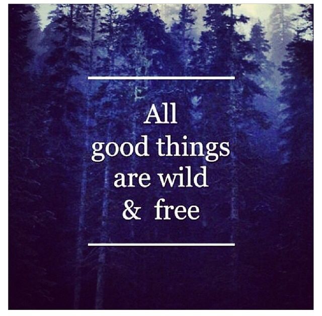 All Good Things