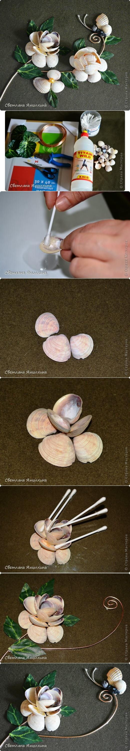 DIY Sea Shell Flowers