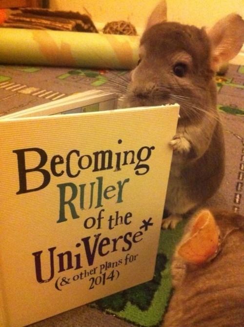 ruler of the universe
