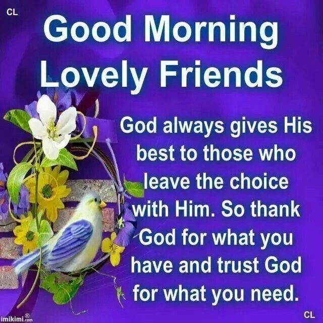 Good Morning Friends Good Morning Friends