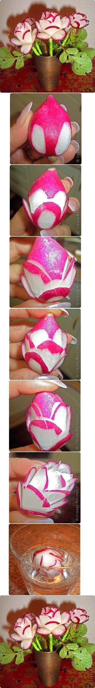 How To Make Flower Radishes