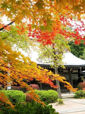 Autumn in Japan