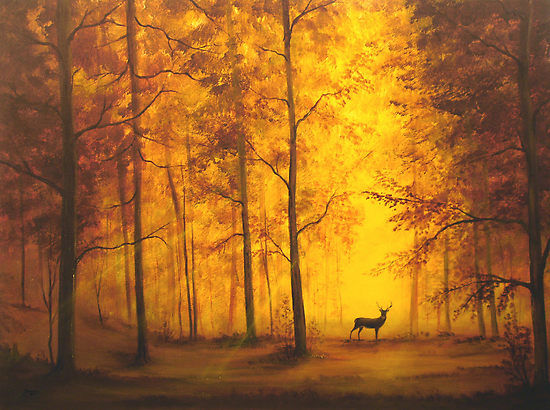 Autumn Sunset Autumn Sunset