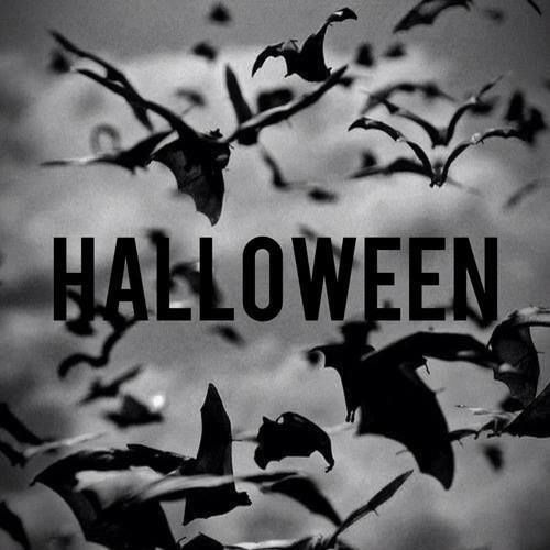 Halloween Halloween